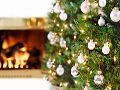 Haal een echte kerstboom in huis