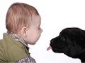 Kinderen en honden: hoe goed passen ze samen?