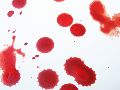 Bloedvlekken verwijderen uit textiel - vlekken verwijderen - tips - kledij - kleding - bloedvlekken uitwassen...