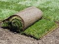 Graszoden leggen - Aankoop graszoden - Gazon - Werkwijze - Wanneer