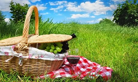 Verrassend Picknicken in de zomer - picjknickmand maken ZD-66